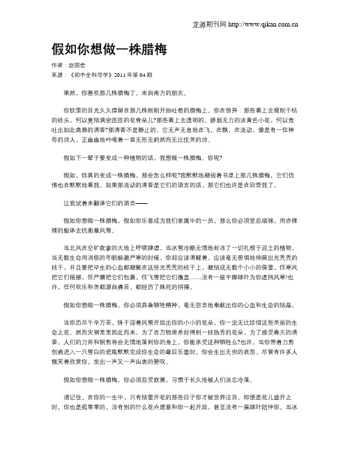 假如你想做一株腊梅