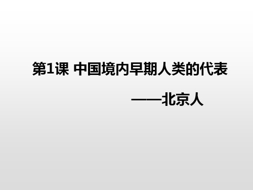 人教部编版七年级历史上册课件：《中国境内早期人类的代表——北京人》33页