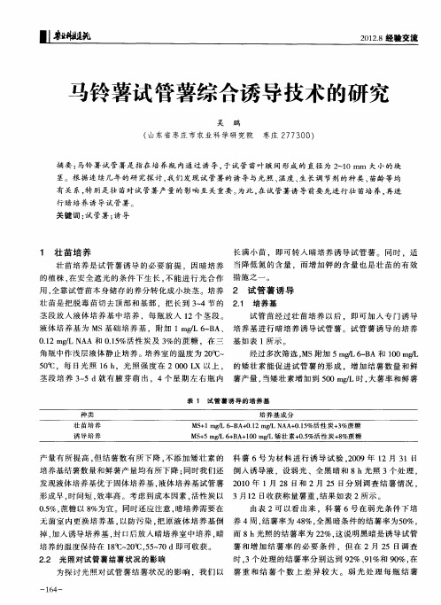 马铃薯试管薯综合诱导技术的研究
