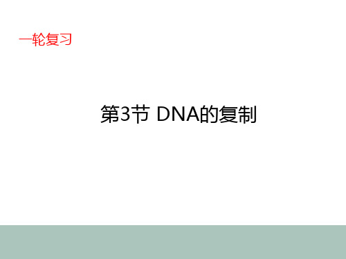4-3高中生物一轮复习DNA的复制