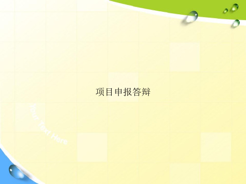 项目申报答辩专项文档