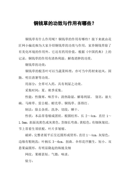 铜钱草的功效与作用有哪些？