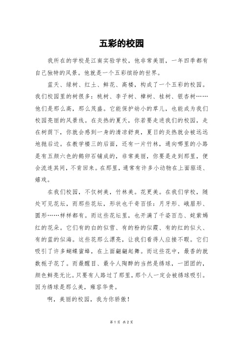 五彩的校园_五年级作文