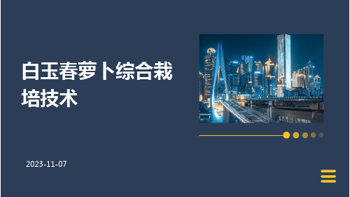 白玉春萝卜综合栽培技术