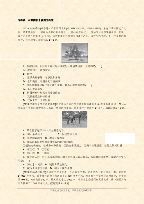 2021高考地理二轮专题复习【统考版】专项训练：专练四 示意图和景观图分析型 Word版含解析 