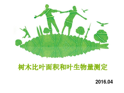 树木比叶面积和叶生物量测定-20160406