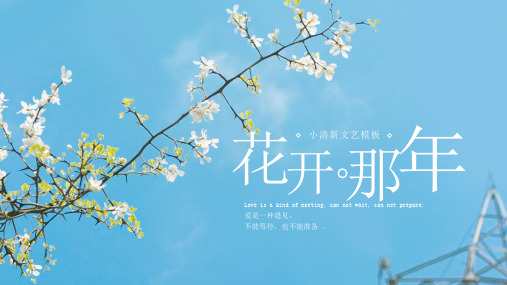 小清新文艺模板