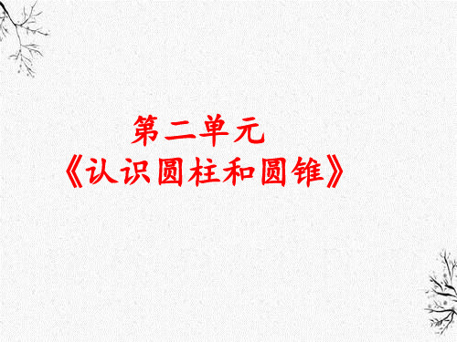 苏教版六年级下册认识圆柱和圆锥PPT