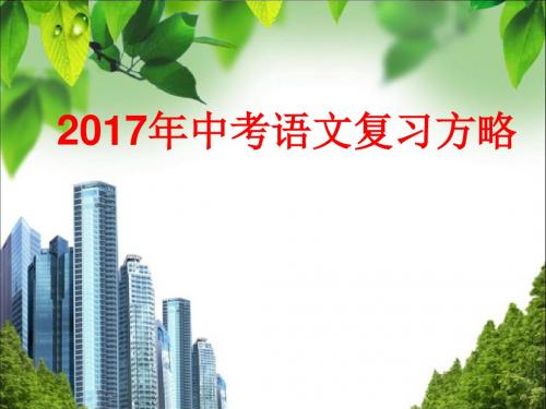 2017语文中考复习
