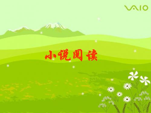 小说阅读课件