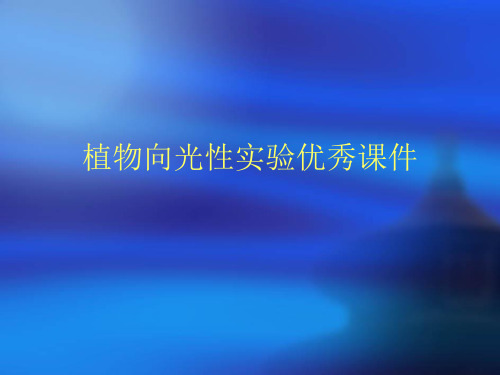 植物向光性实验优秀课件