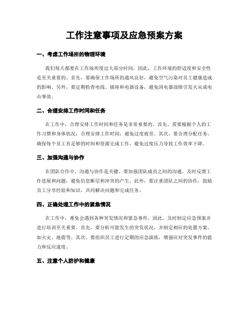 工作注意事项及应急预案方案