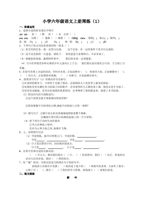 小学六年级语文上册周练