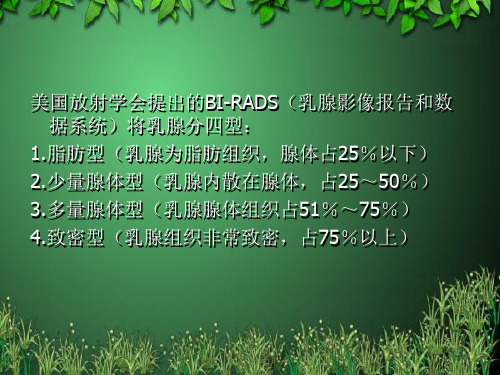 乳腺BIRADS分级应用精品PPT课件