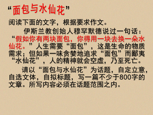 水仙花与面包
