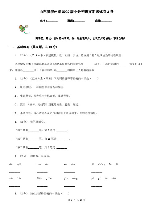 山东省滨州市2020版小升初语文期末试卷A卷