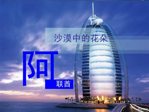 沙漠中的花朵——阿联酋