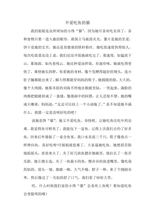 不爱吃鱼的猫