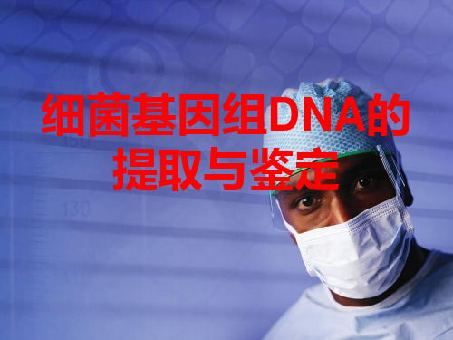 细菌基因组DNA的提取和鉴定