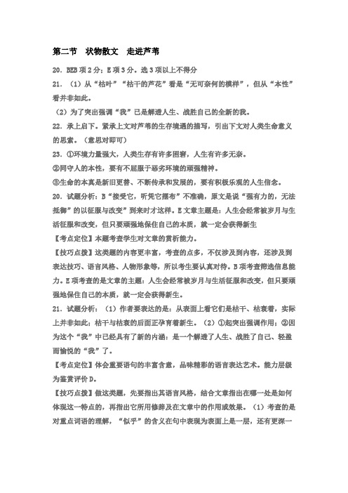 走近芦苇