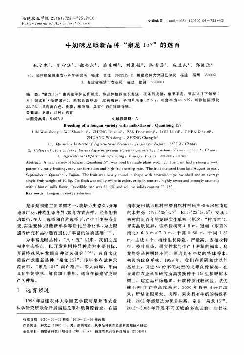 牛奶味龙眼新品种“泉龙157”的选育