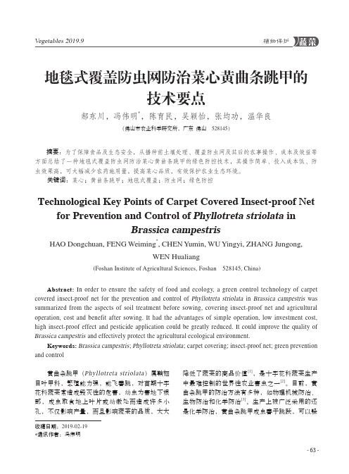 地毯式覆盖防虫网防治菜心黄曲条跳甲的技术要点