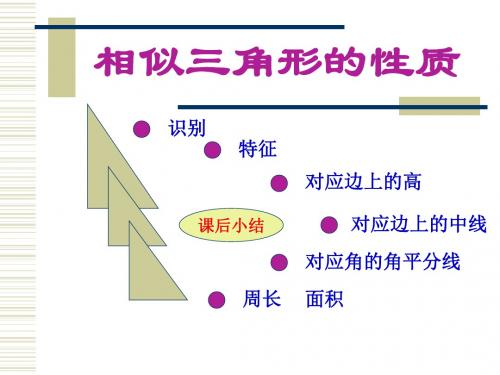 北师大版九年级数学上册《相似三角形的性质》课件
