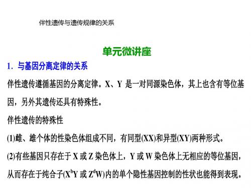 高三生物(人教版)高考一轮复习课件：第五单元 单元微讲座