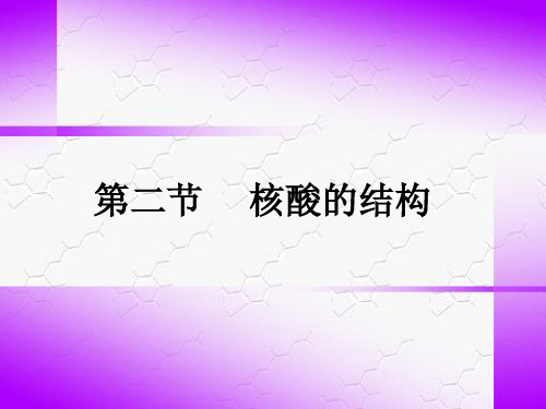 核酸的结构
