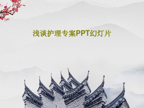 浅谈护理专案PPT幻灯片共45页