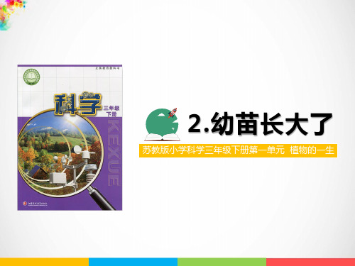 1.2 幼苗长大了课件(第一课时)