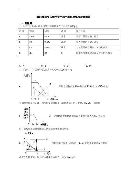深圳横岗康乐学校初中部中考化学模拟考试集锦