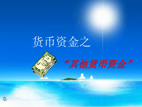 经典会计资料_货币资金(其他货币资金)