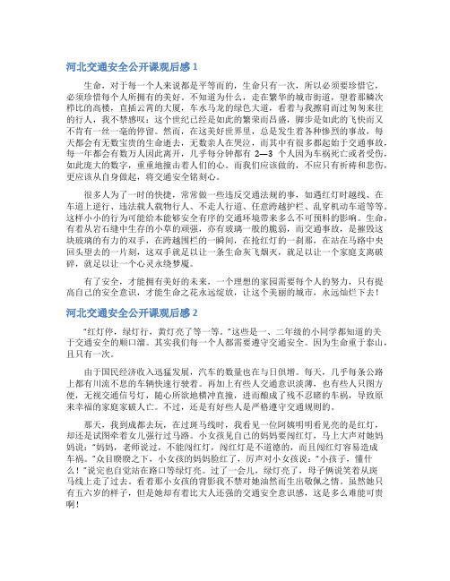 河北交通安全公开课观后感