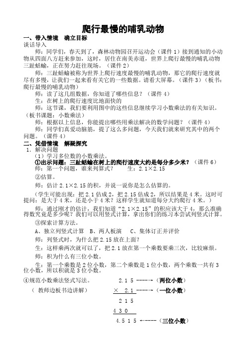 爬行最慢的哺乳动物