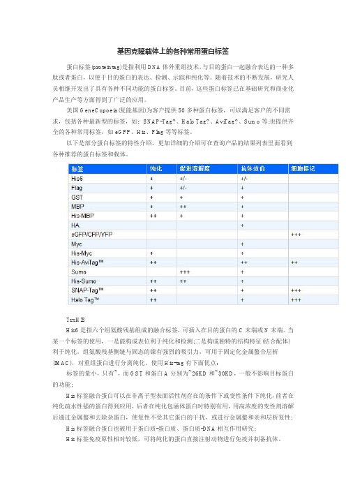 基因克隆载体上的各种常用蛋白标签