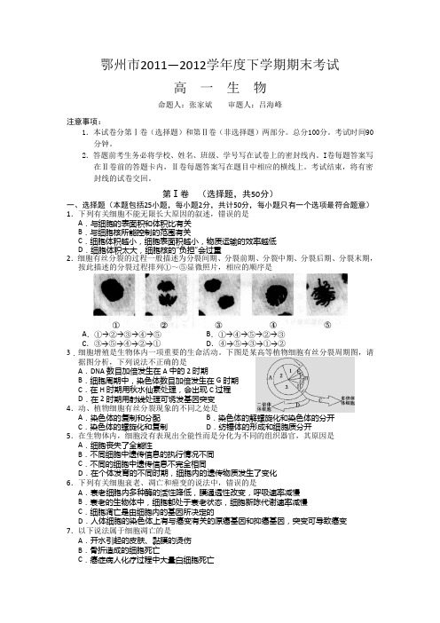 湖北鄂州11-12高一下期末考试-生物.