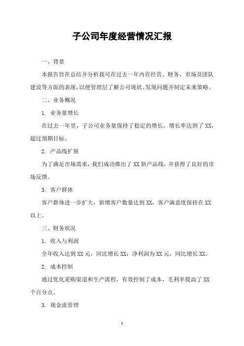 子公司年度经营情况汇报