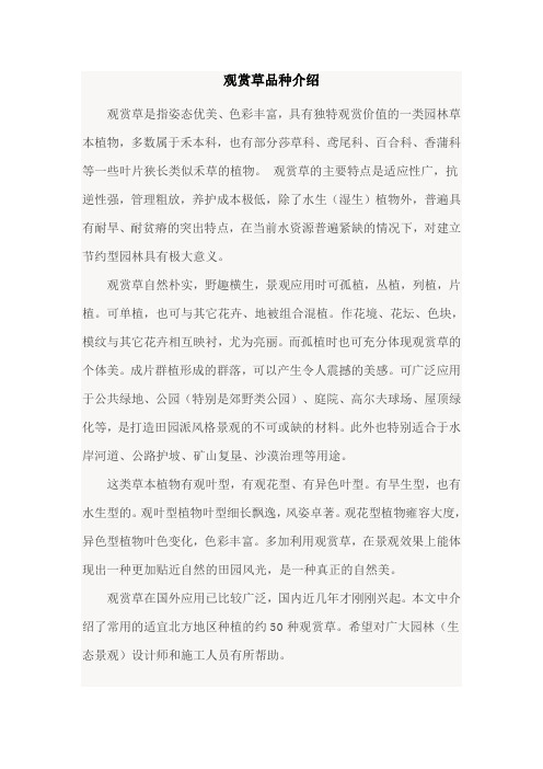 观赏草品种介绍