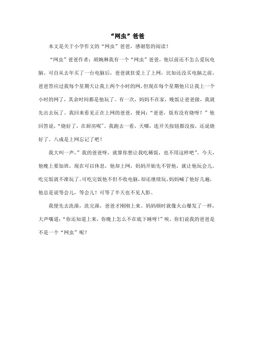 “网虫”爸爸_小学作文