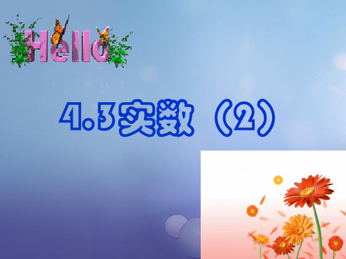 八年级数学上册 4.3 实数(2)课件 (新版)苏科版
