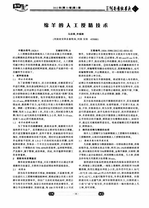 绵羊的人工授精技术
