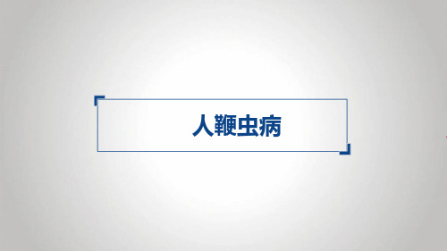 人鞭虫