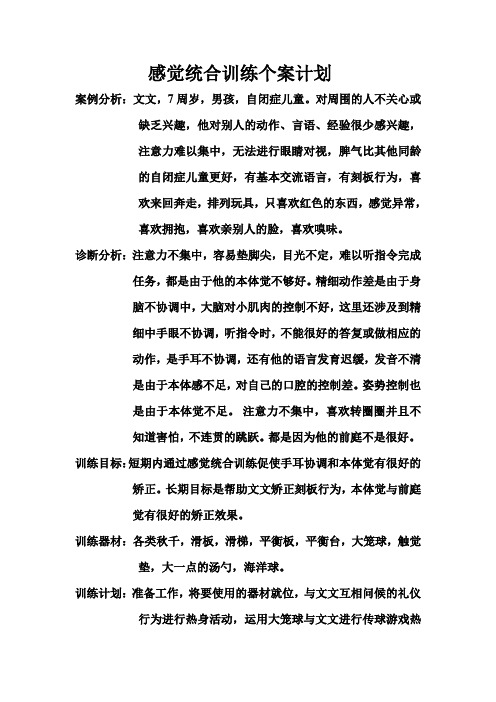 感觉统合训练个案计划