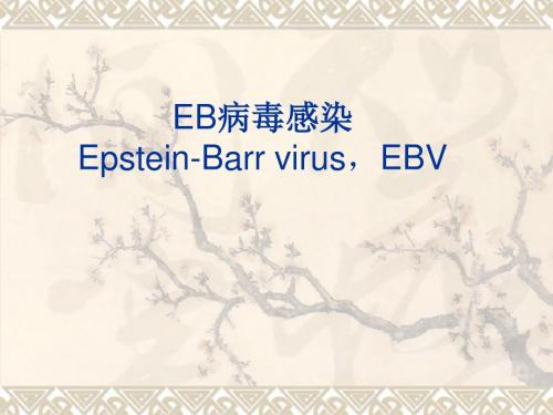 EB病毒