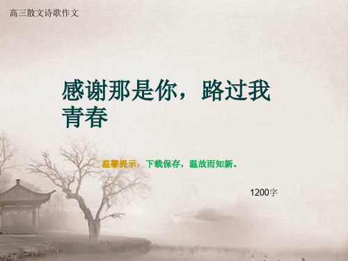 高三散文诗歌作文《感谢那是你,路过我青春》1200字