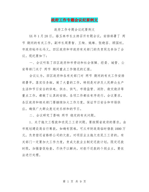 政府工作专题会议纪要例文