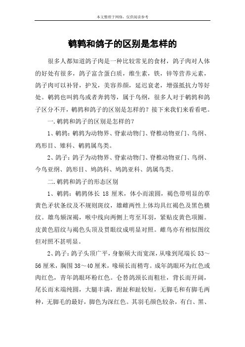 鹌鹑和鸽子的区别是怎样的