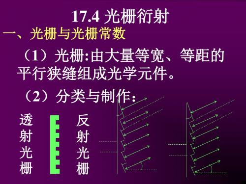 2019年新版高中物理竞赛教学指导全套课件第十七章光的衍射 (2)