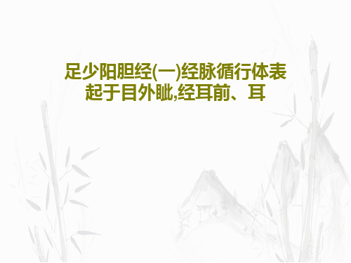 足少阳胆经(一)经脉循行体表起于目外眦,经耳前、耳42页PPT